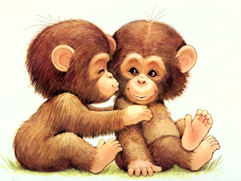 Download Baby Monkey Twins Wallpaper 