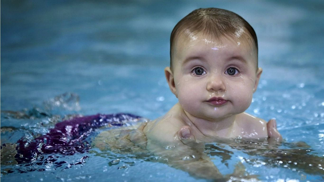 "This little one is just starting out in their swimming lessons!" Wallpaper