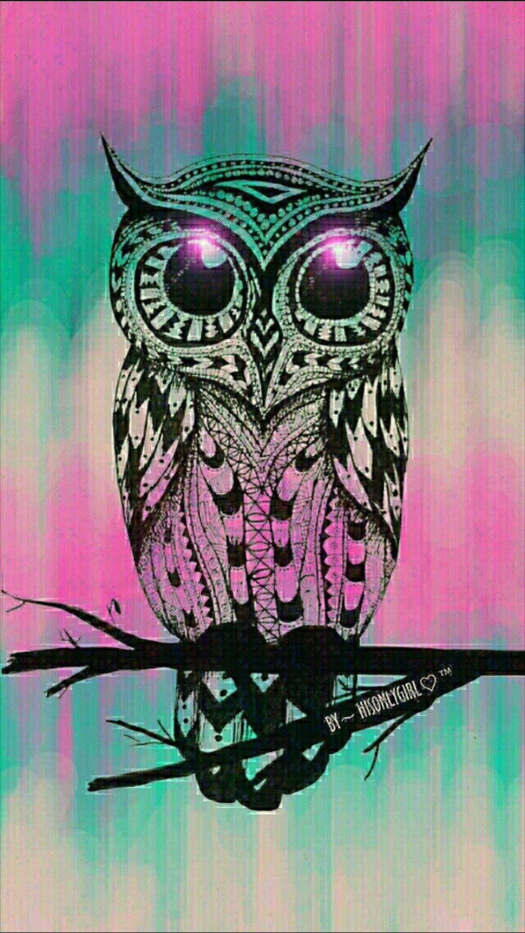 Baby Owl Background