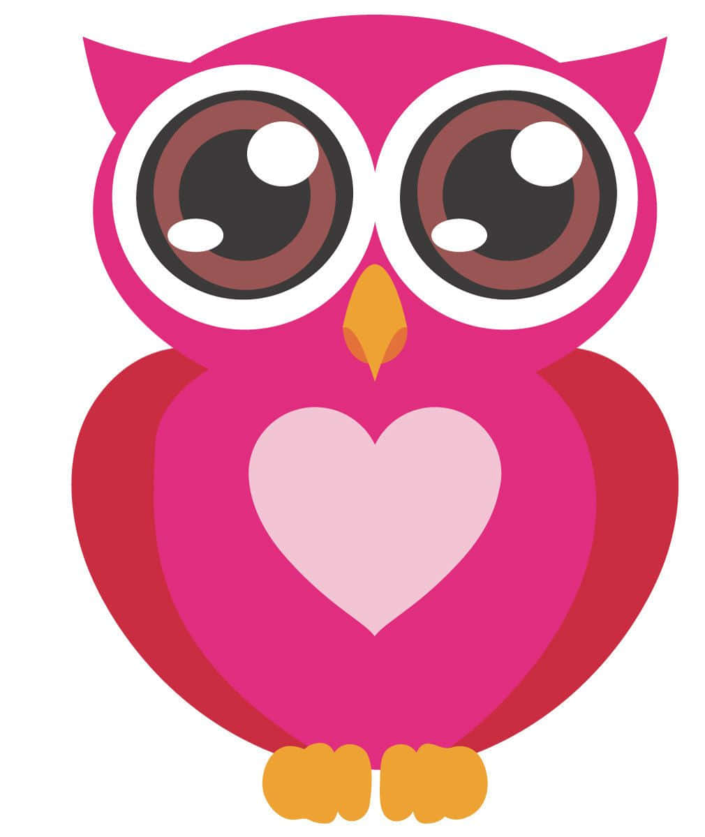 Baby Owl Background