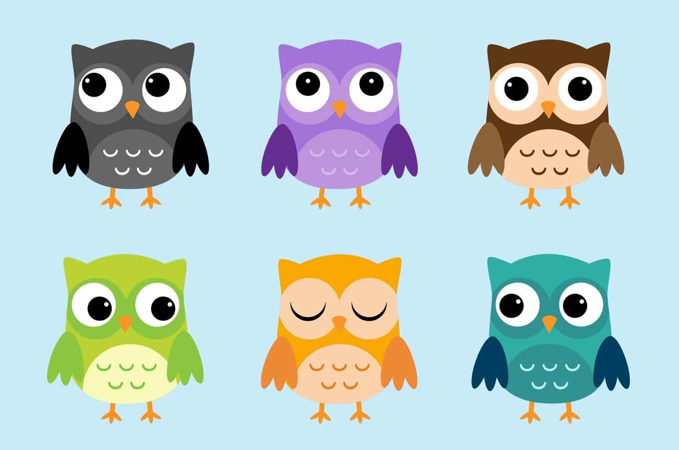 Baby Owl Background