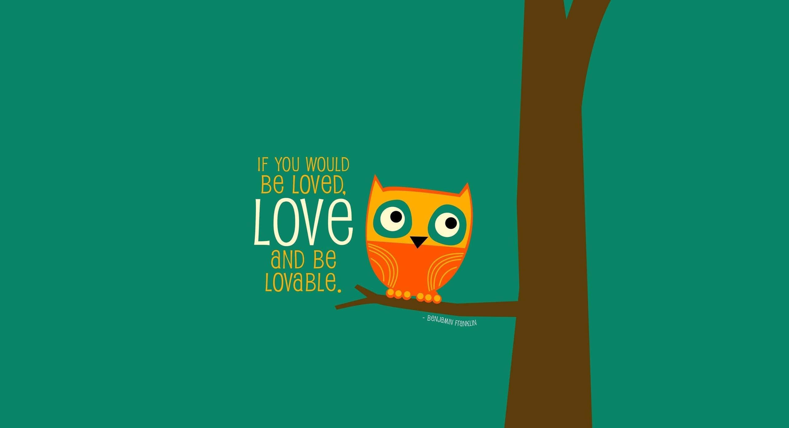 Baby Owl Background