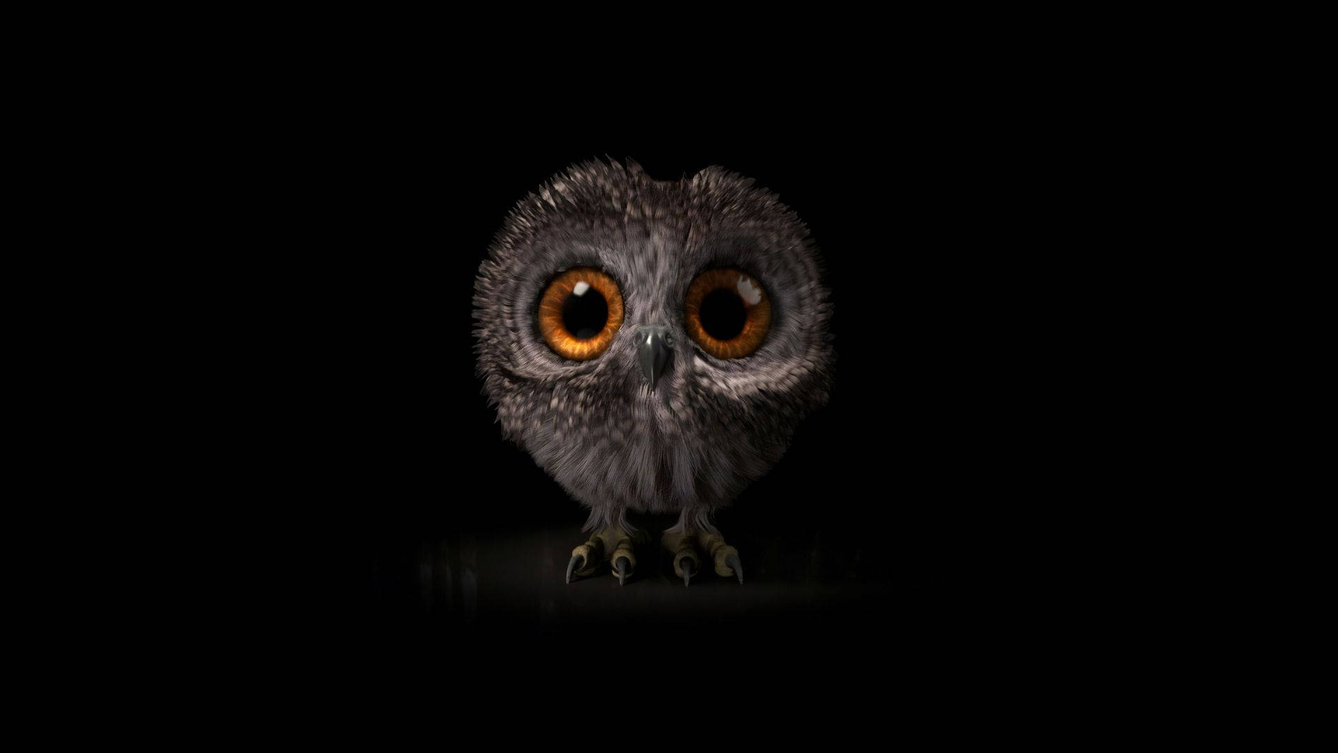 Baby Owl In The Dark