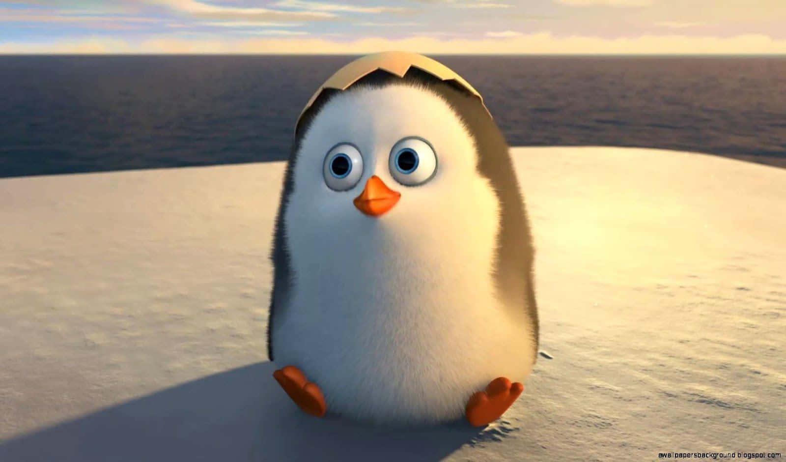 "A Cute Baby Penguin".