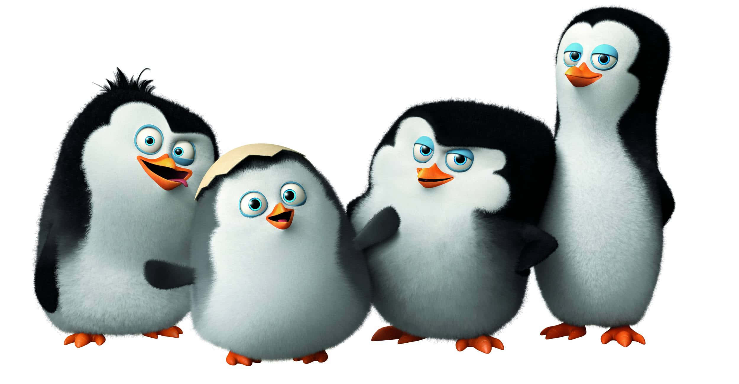 Ensød Lille Baby Pingvin, Der Går Tur På En Kølig Vinterdag.