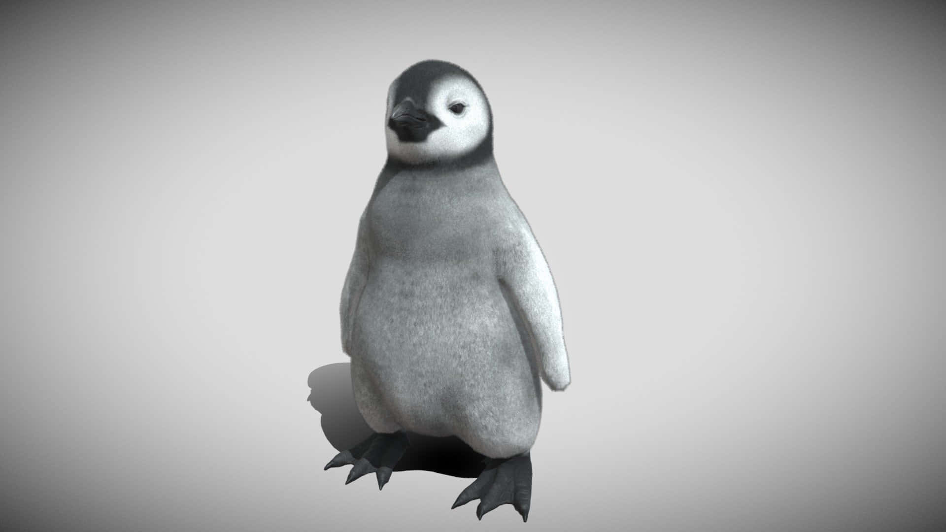 This adorable baby penguin will make you smile!