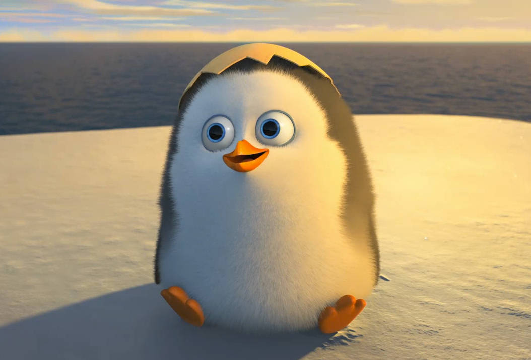 Baby Penguin Private Of Madagascar Wallpaper