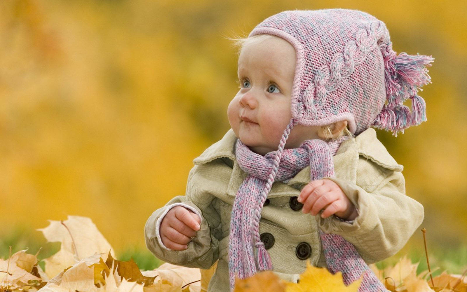 Baby Photography With Pile Of Leaves Wallpaper
