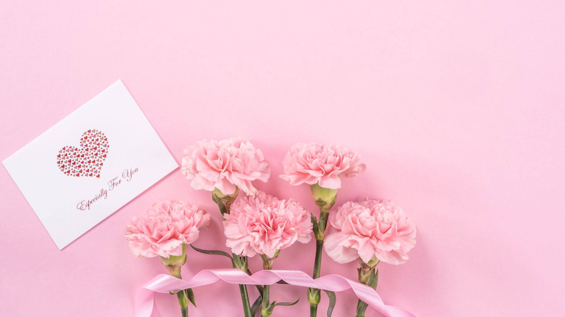 Baby Pink Carnation Flowers With Card Wallpaper
