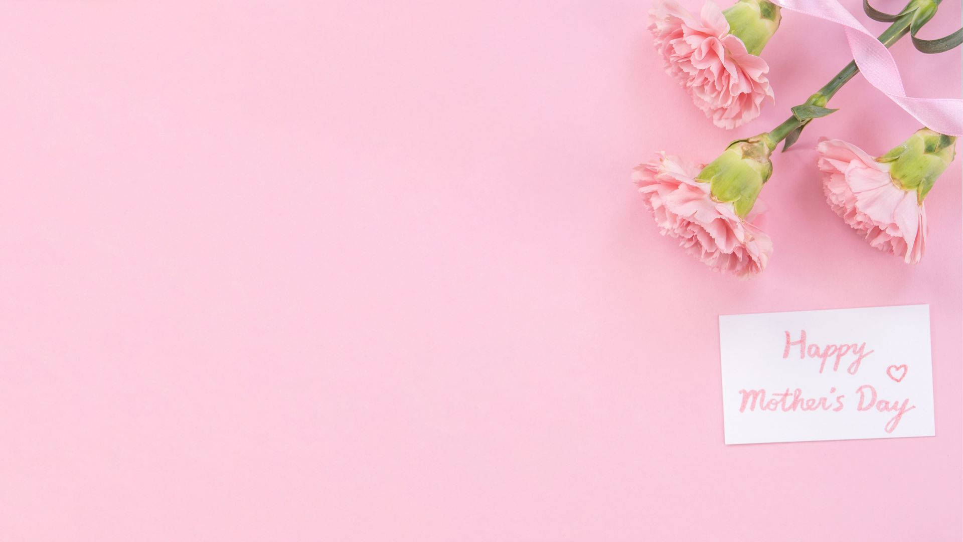 Baby Pink Carnations Med Hilsner Wallpaper