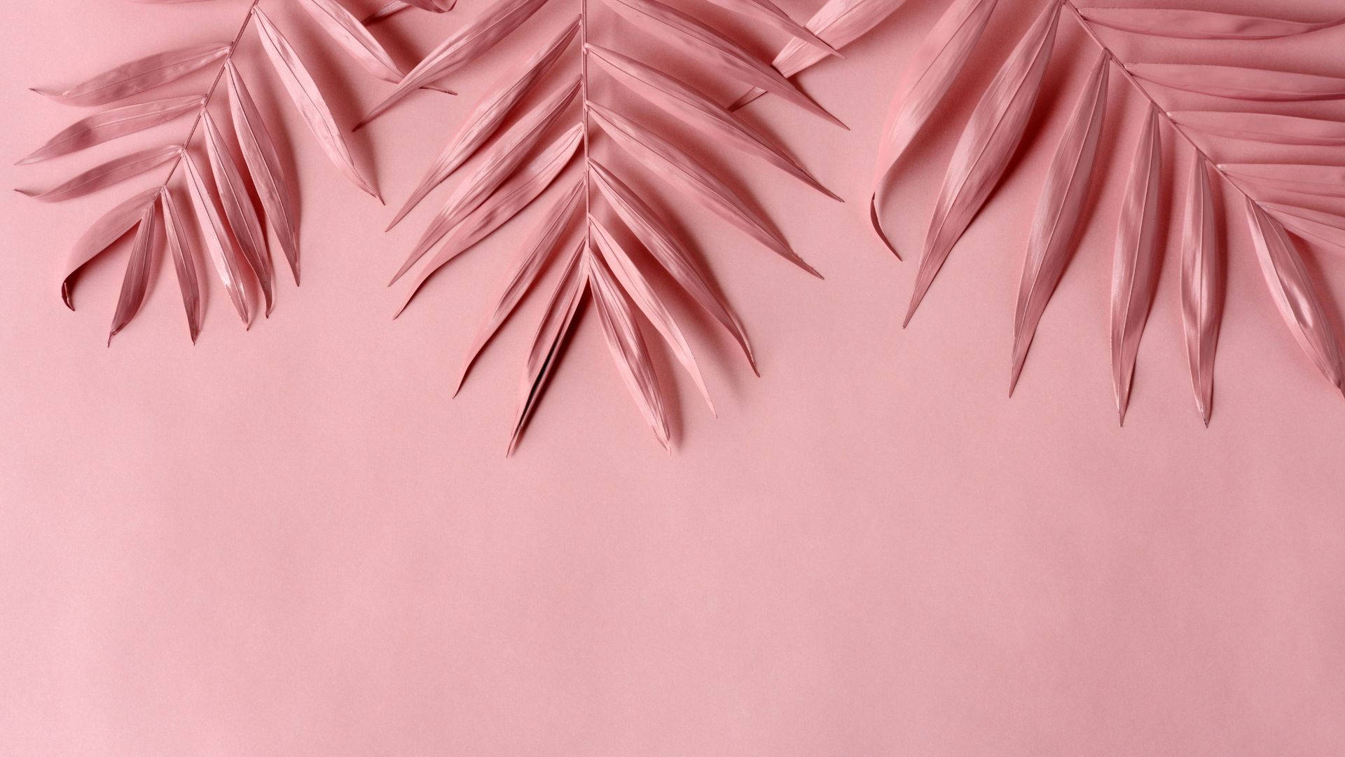 Baby Pink Blade Æstetisk Tapet Wallpaper