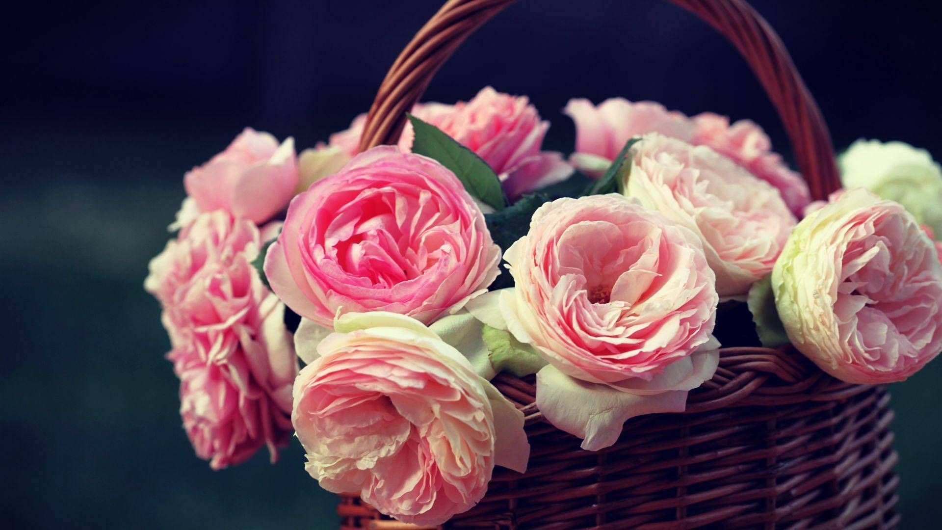 Baby Pink Roses In A Basket Wallpaper