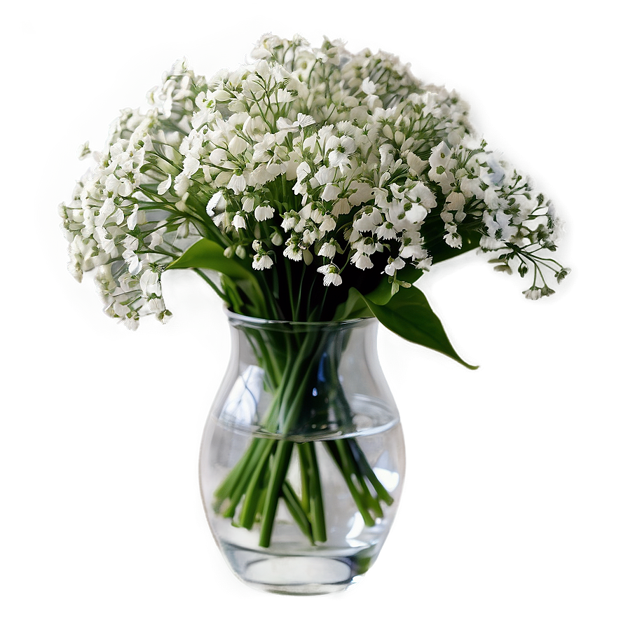 Download Baby's Breath In Vase Png Ndc | Wallpapers.com