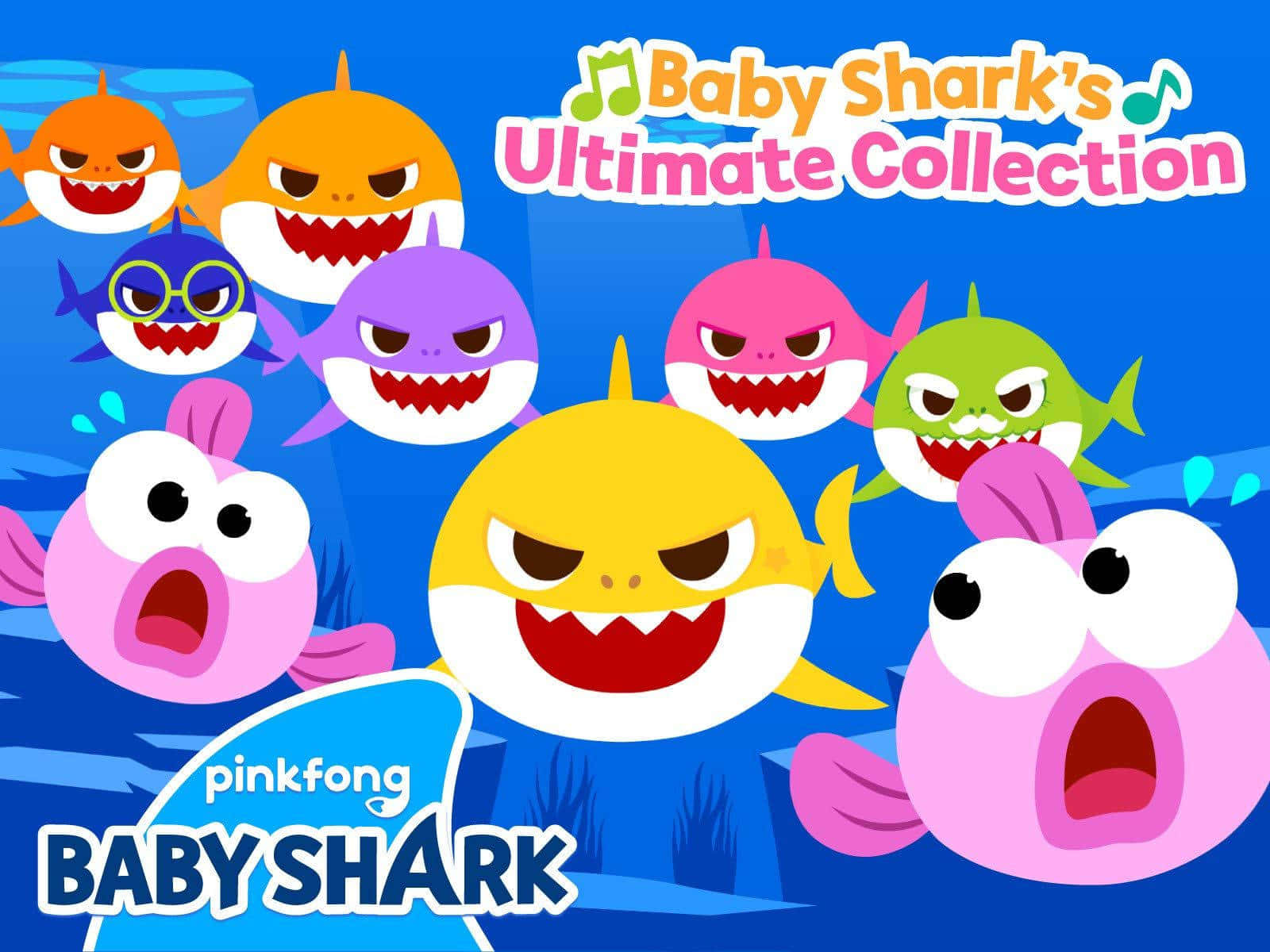 Bag Shark Baggrund Ultimate Collection Album Cover Tapet