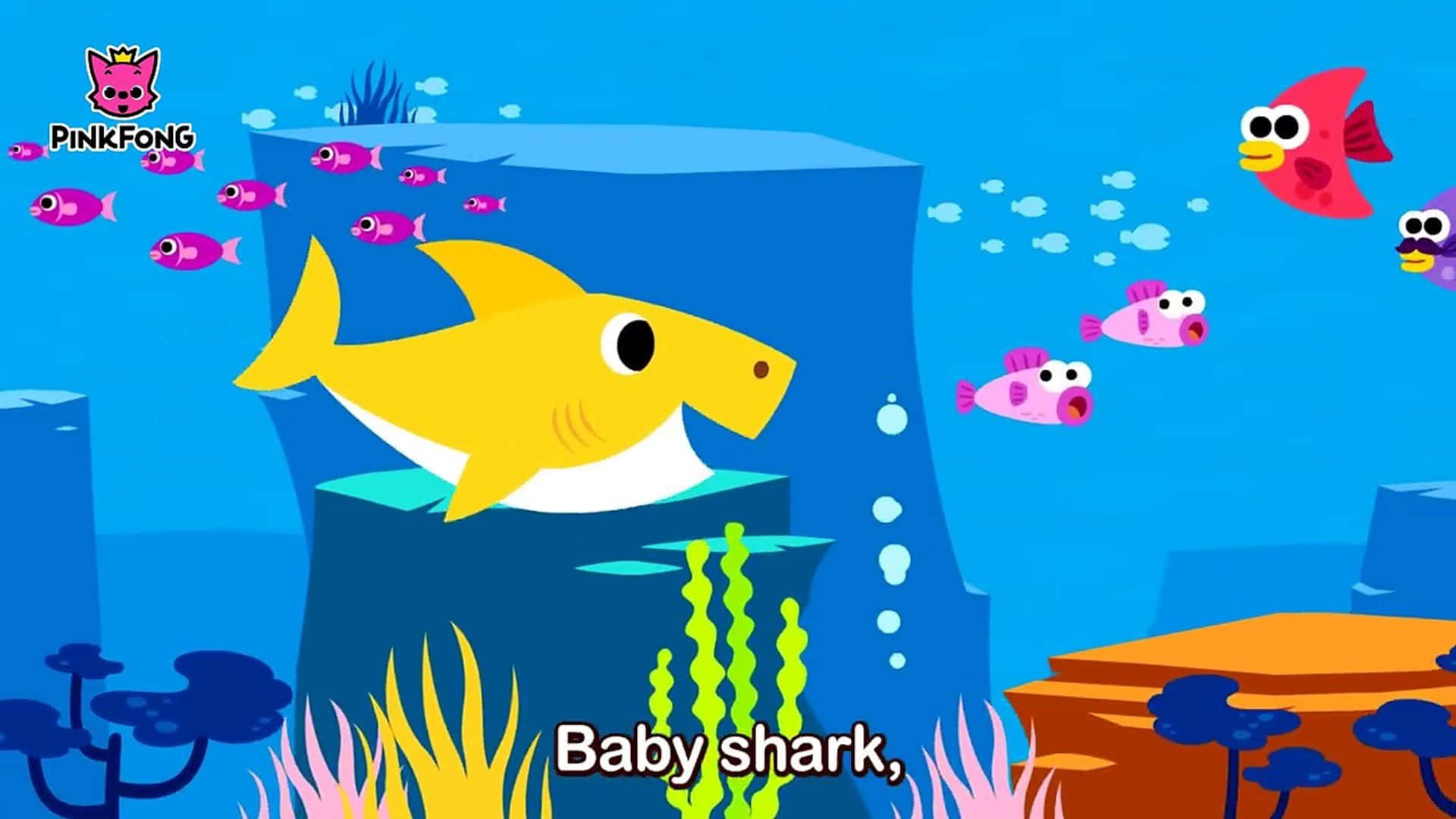 Bakgrundmed Baby Shark, Baby Shark-textvideo, Gul Haj.