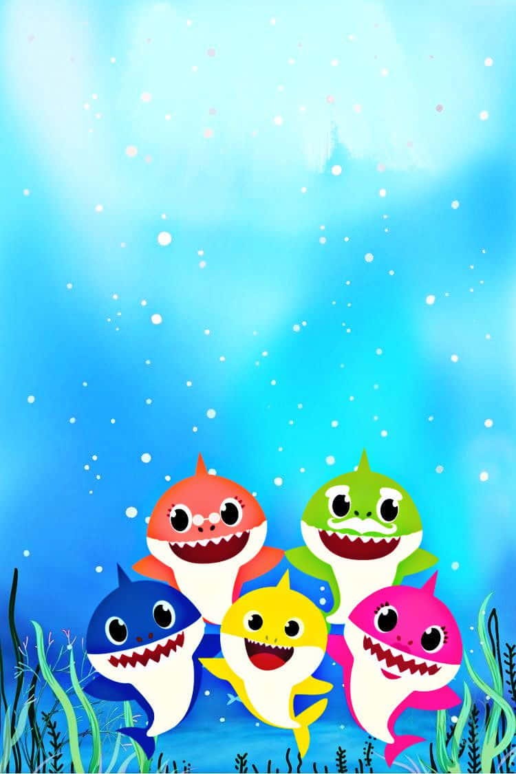 Baby Shark Background All Shark Characters
