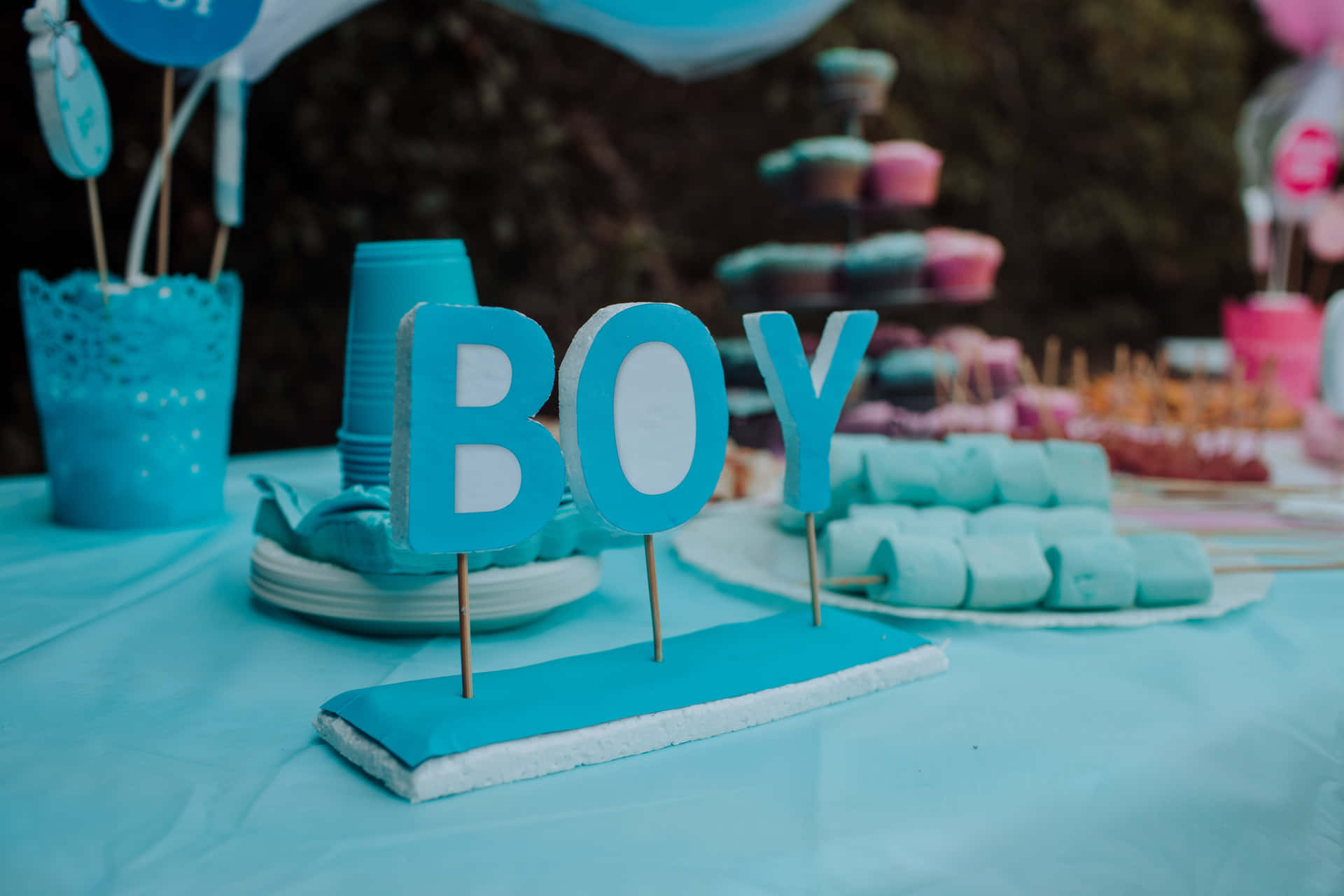 Baby Boy Shower Party Picture