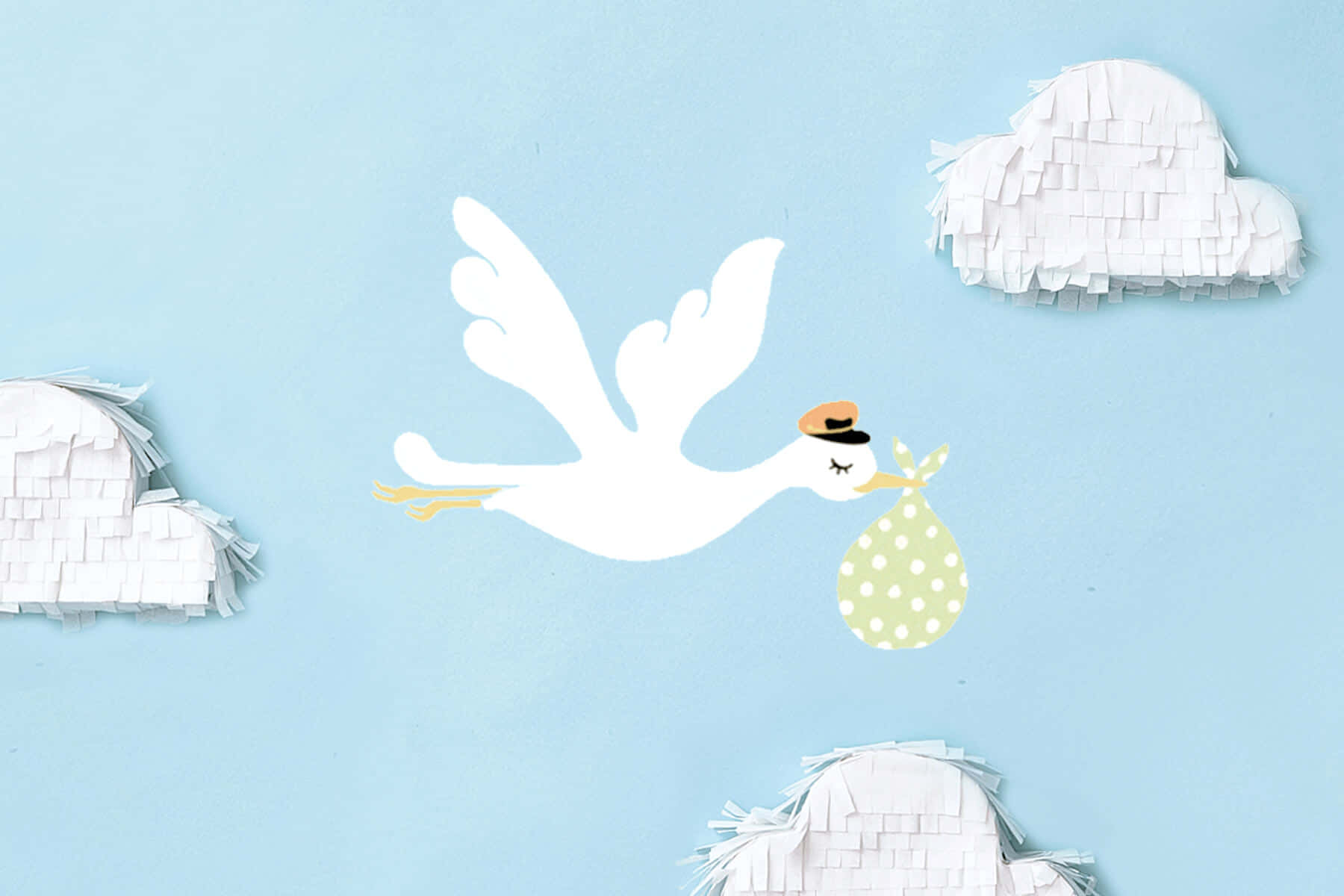 Baby Shower Zoom baggrund hvid fugl og blomst