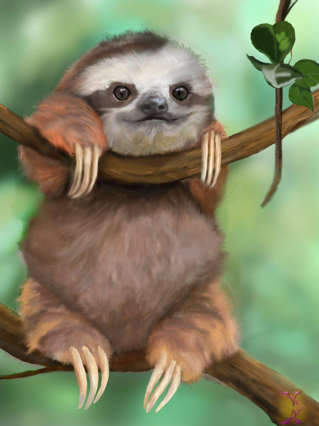 Baby Sloth Digital Paint