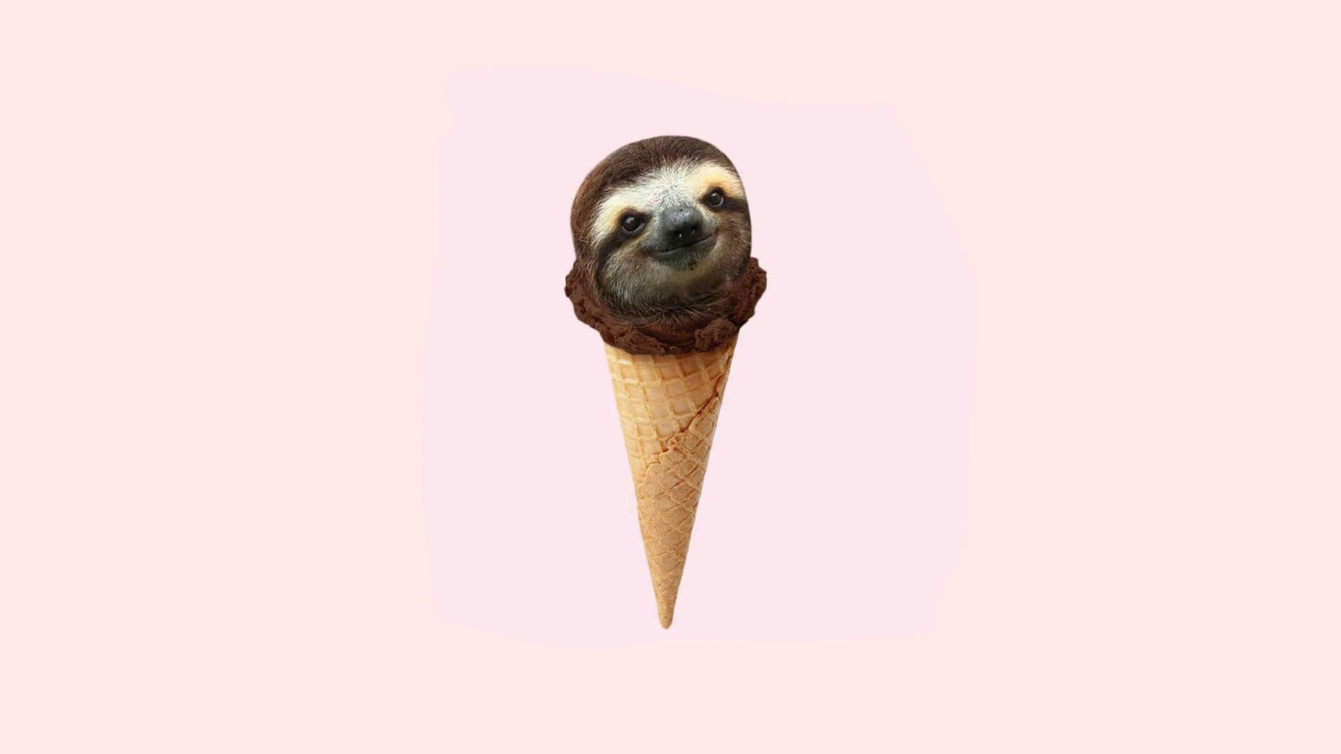 Baby Sloth Ice Cream