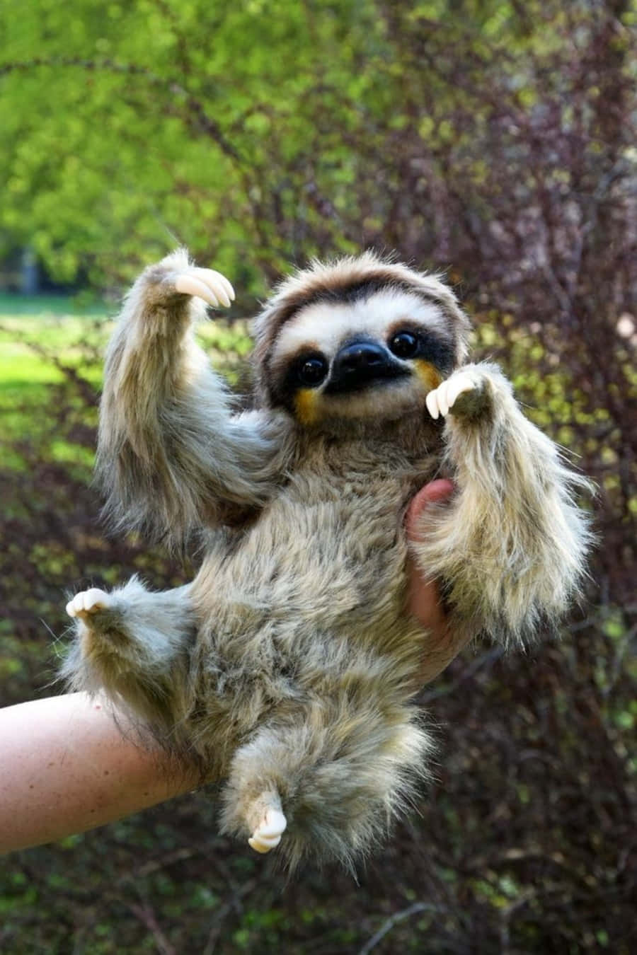 This cute baby sloth loves to snuggle and hang out with its friends!