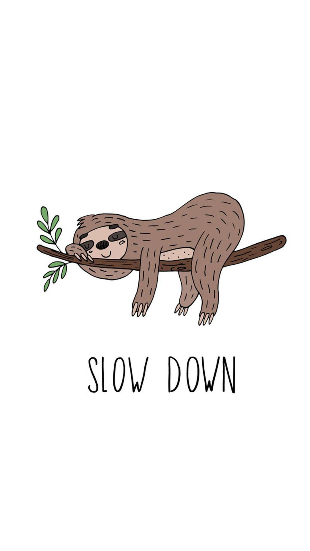 Baby Sloth Slow Down
