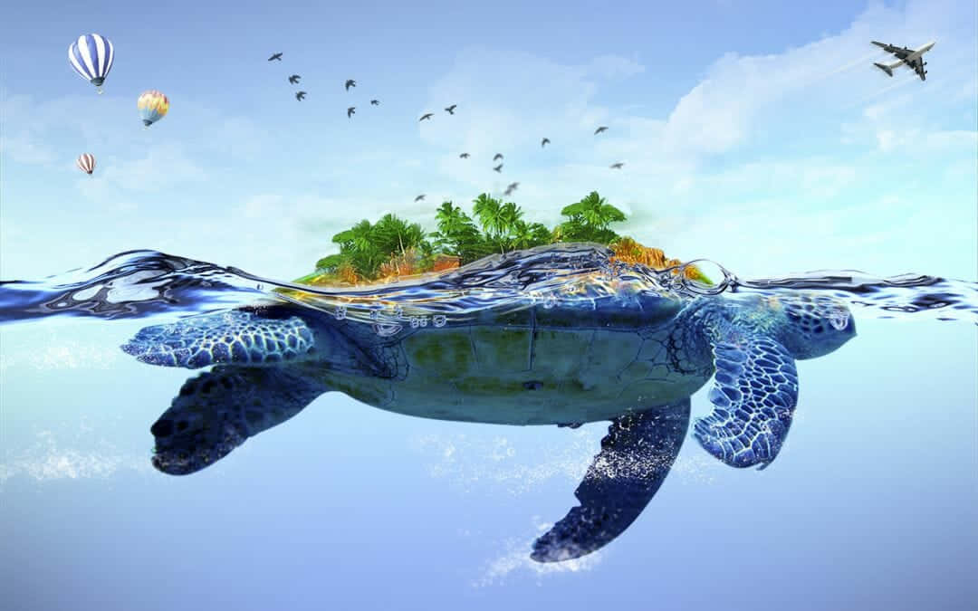 Niedlichesbaby-schildkröte Beim Schwimmen Wallpaper