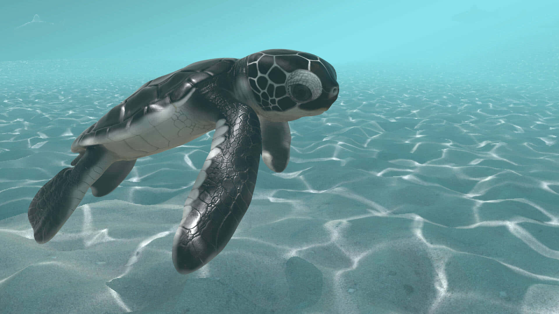 Eineschildkröte Schwimmt Im Meer. Wallpaper