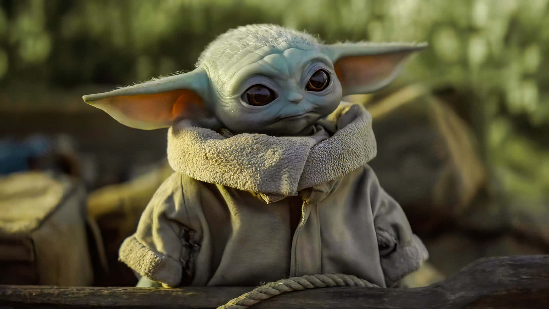 Discover the adorable Baby Yoda