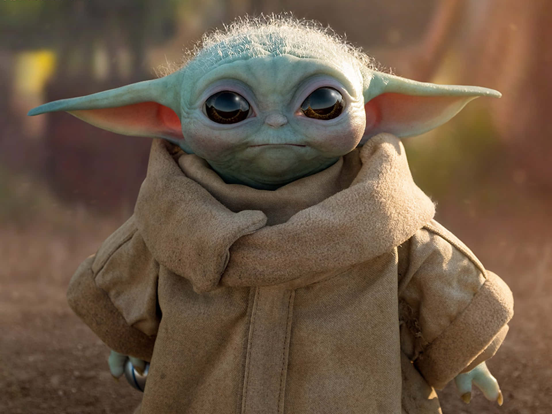 Cutest Baby Yoda Photoshoot
