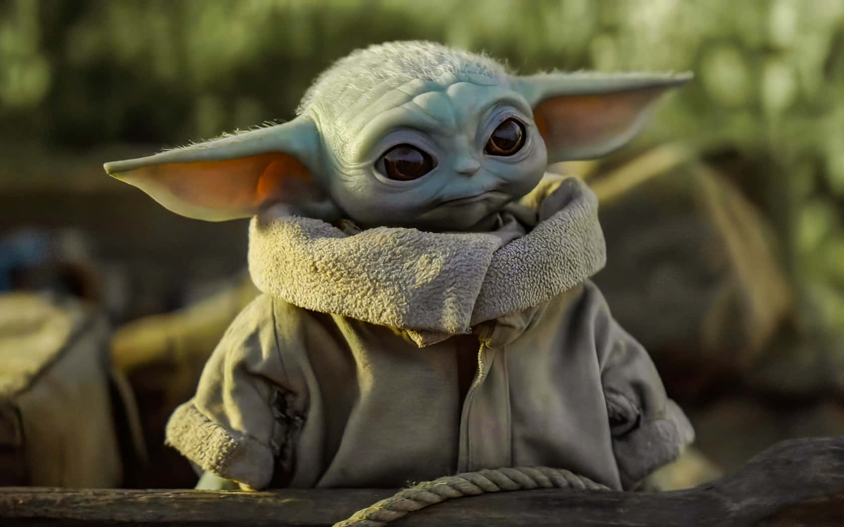 The internet's most beloved 200-year-old Baby Yoda