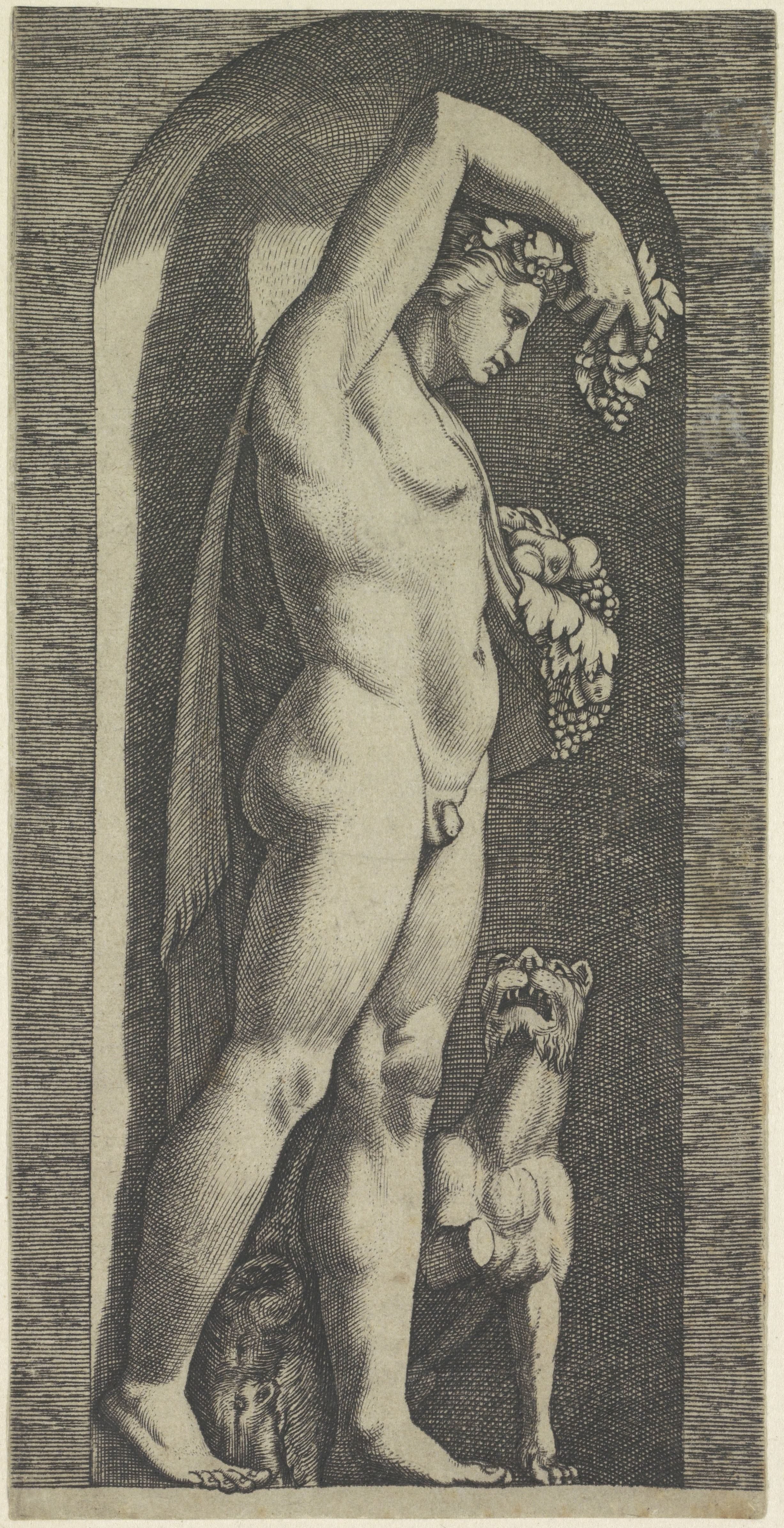 Bacchus Wallpaper