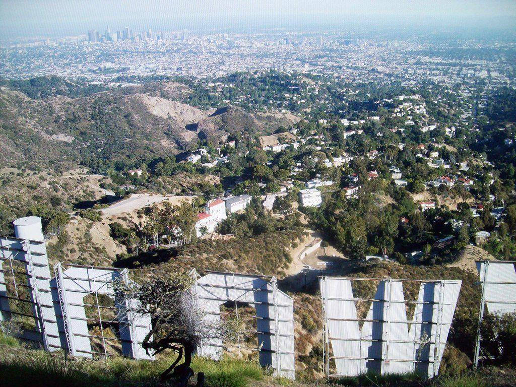 Back Of Hollywood Sign Picture