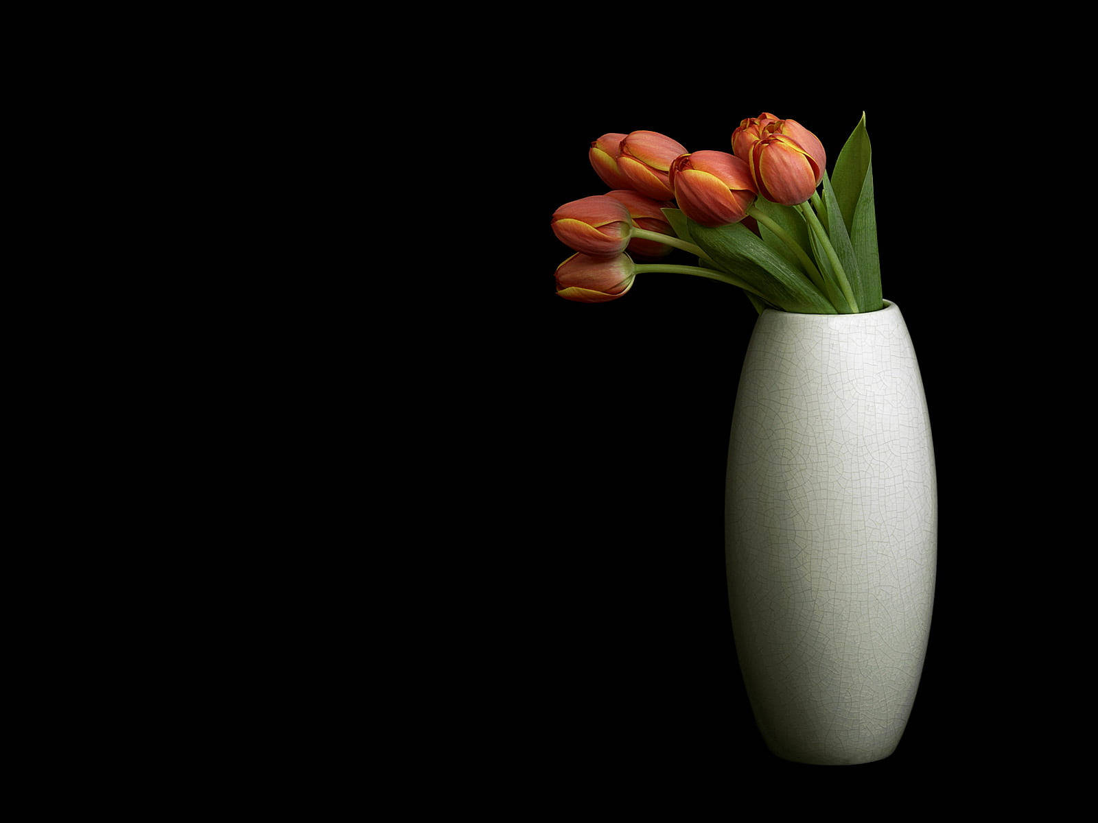 Background Black With Vased Tulips Wallpaper