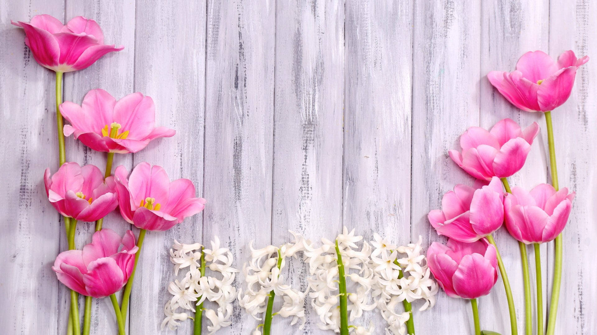 Background Design With Flowers Background