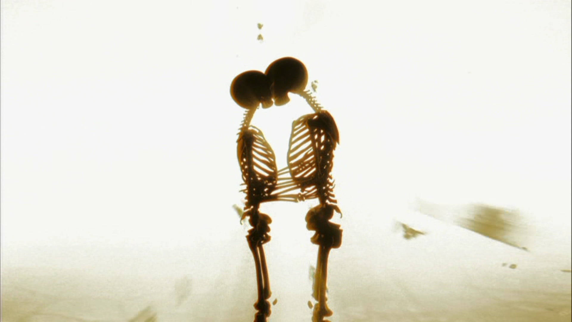 Backlit Skeleton Love Wallpaper