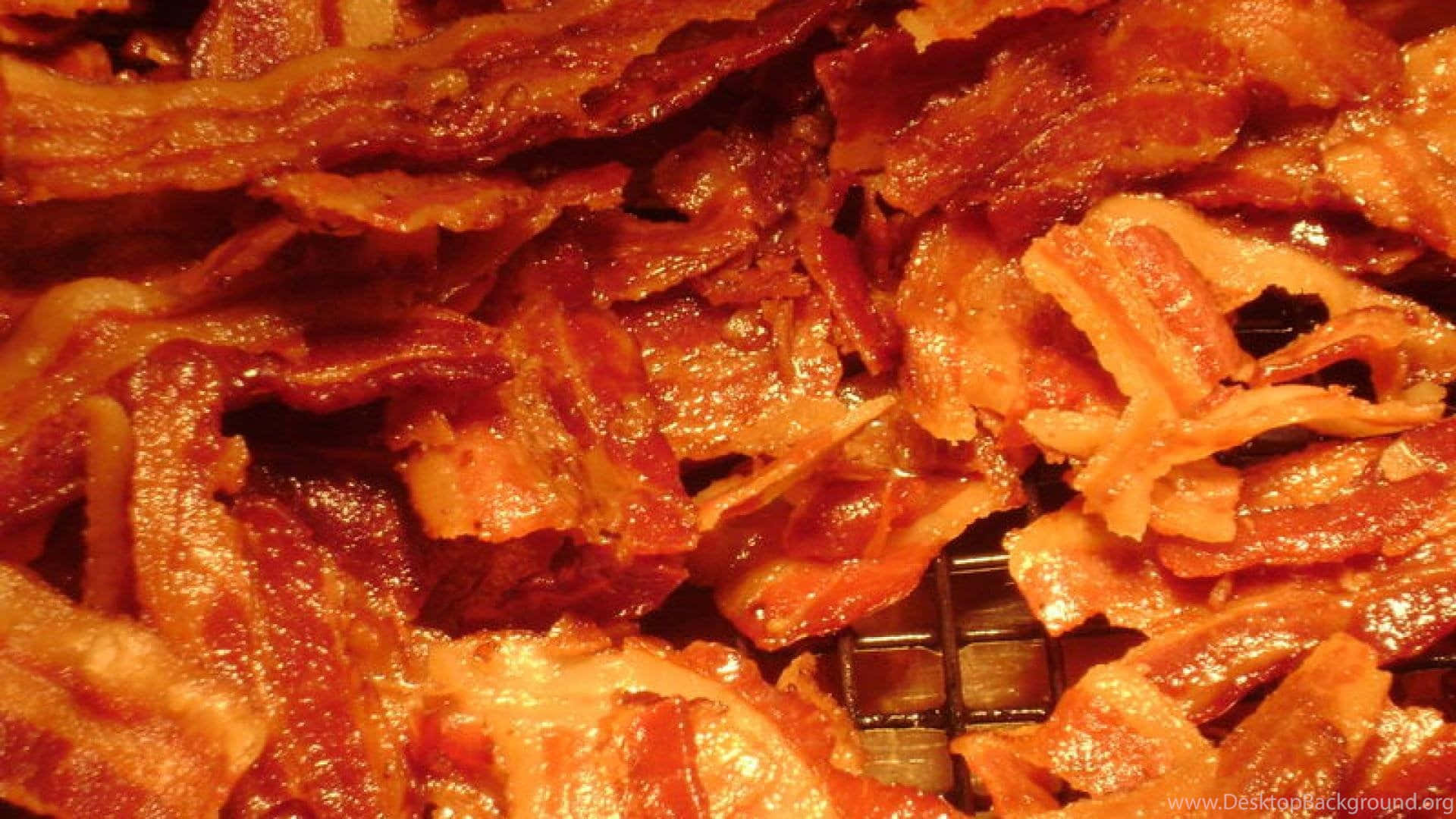Enjoying a delicious slice of bacon for breakfast!