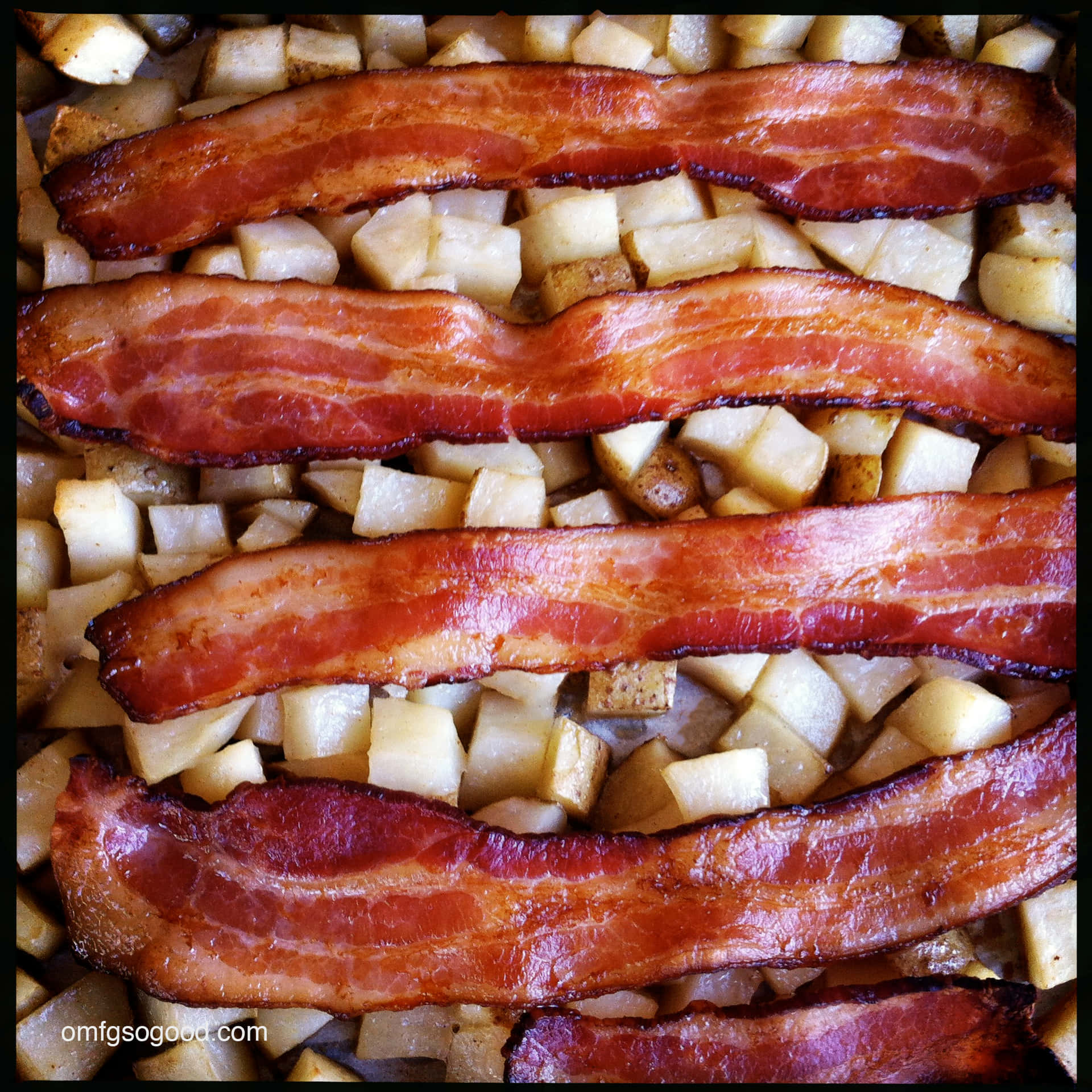 Bildgebratene Baconscheibe