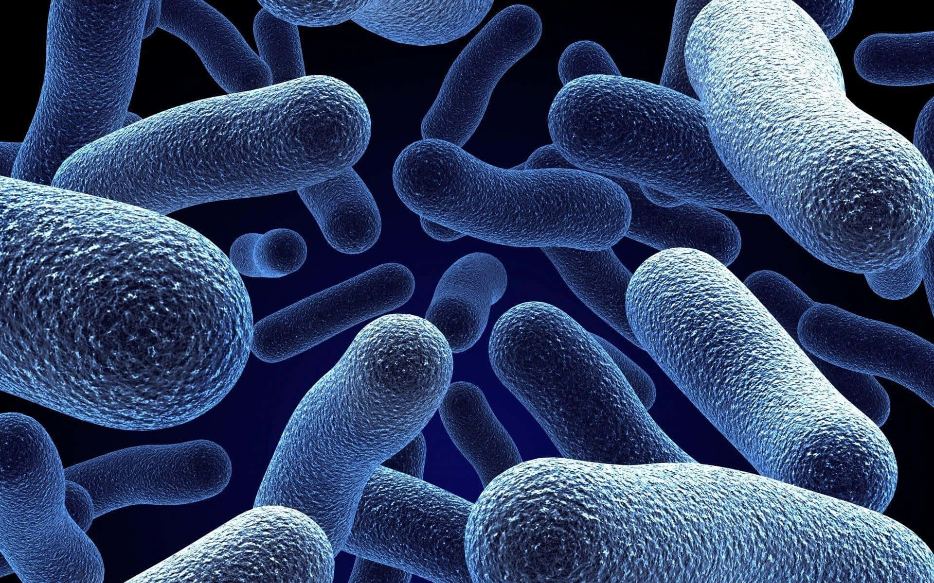 Bacterial Closeup3 D Illustration Wallpaper