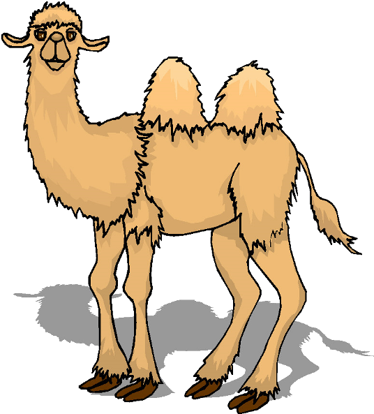 Bactrian Camel Cartoon Illustration PNG