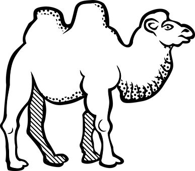 Bactrian Camel Silhouette PNG