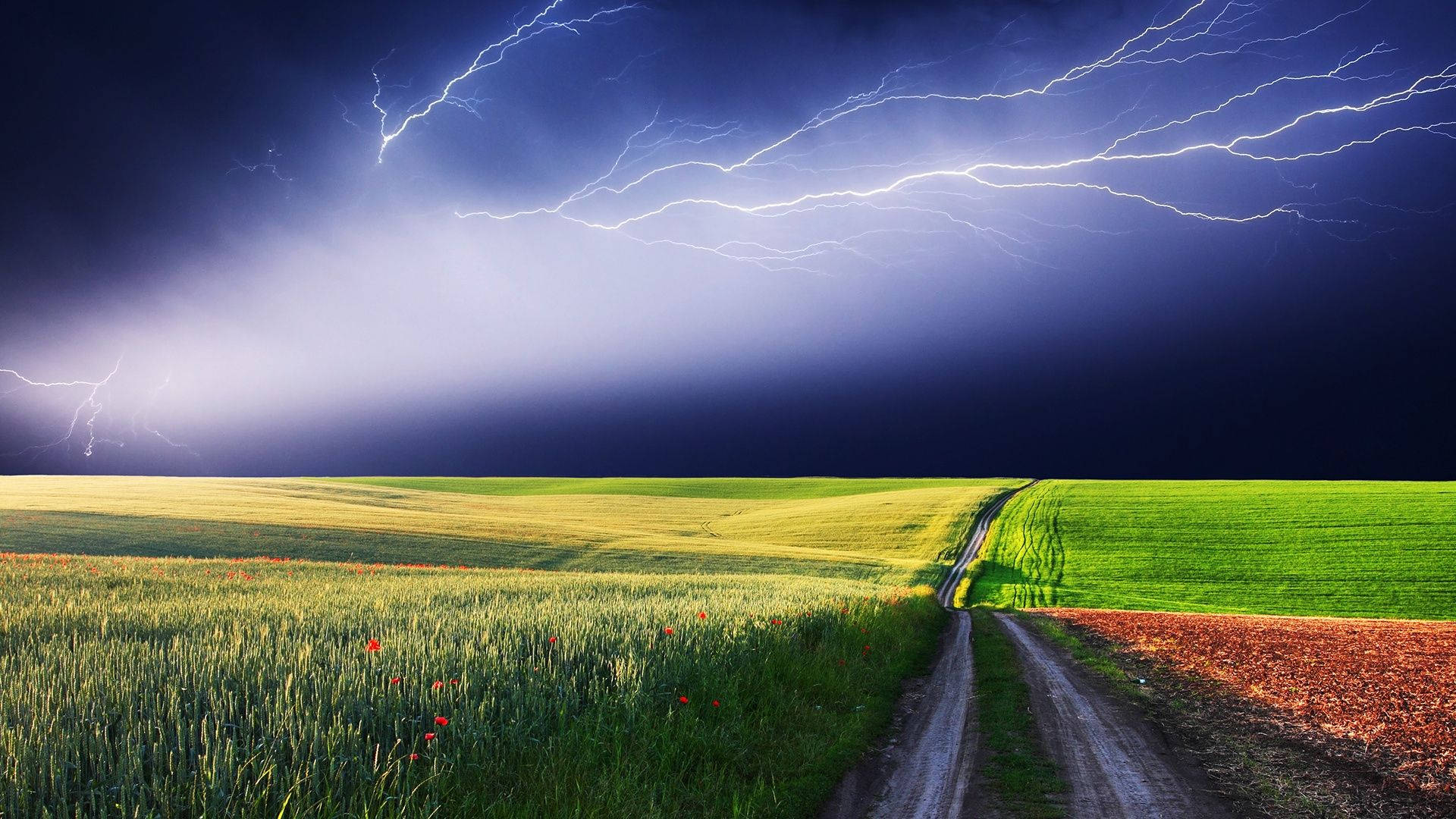 Bad Weather Meadow Landscape Wallpaper