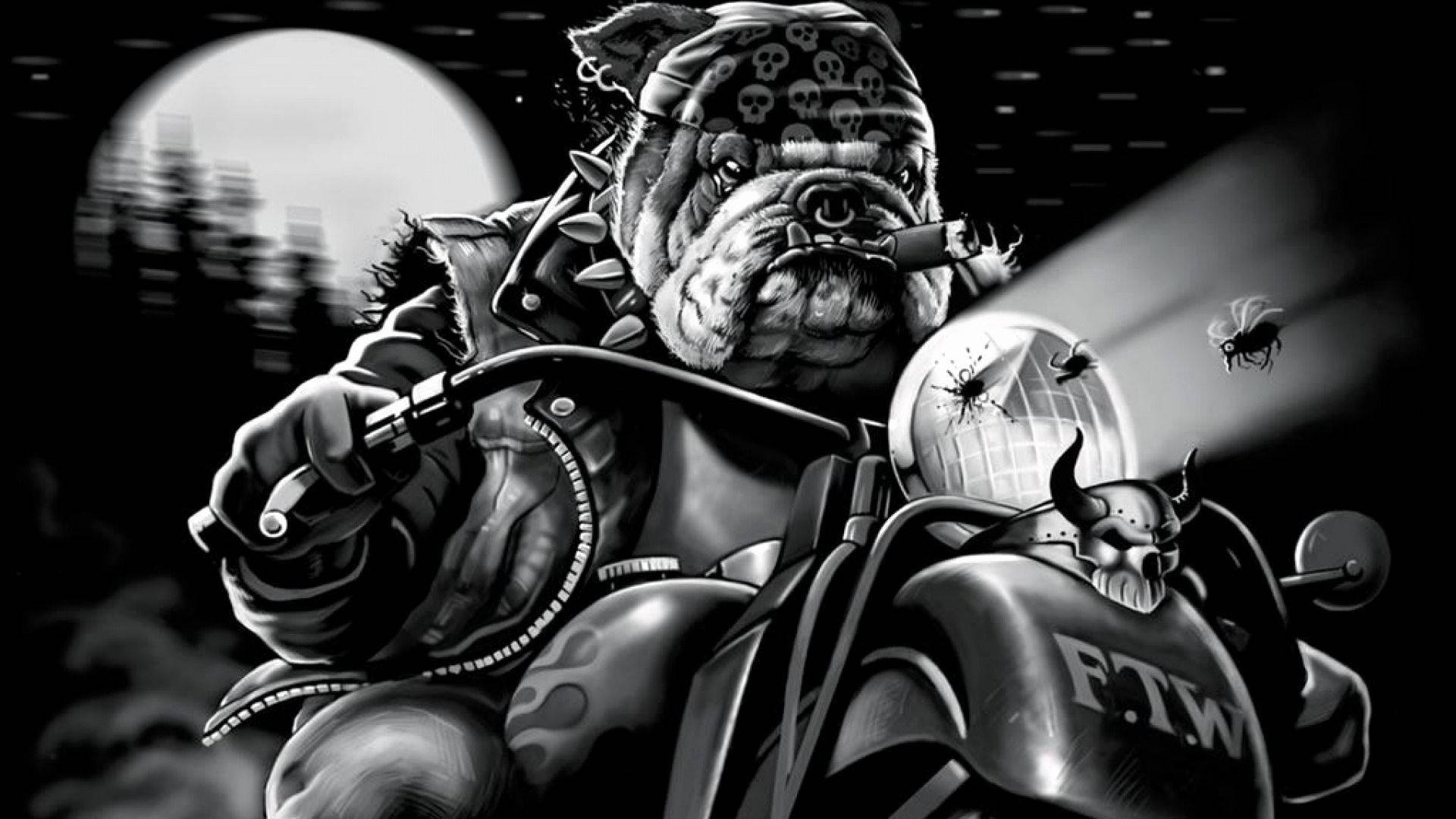 Powerful English Bulldog Showcasing Its Badass Persona Wallpaper