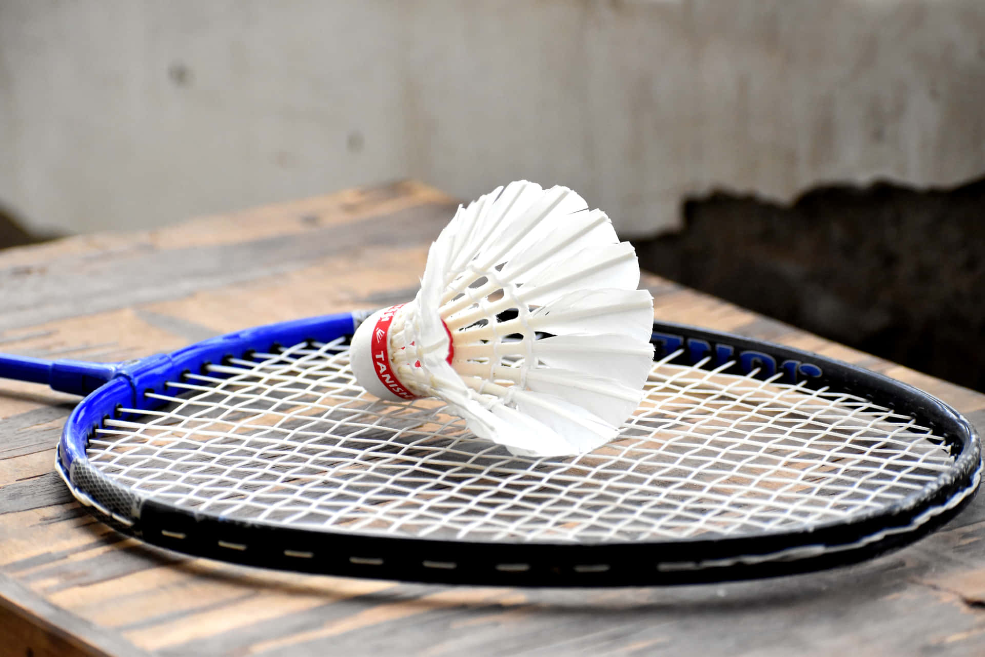 Dynamic Badminton Action