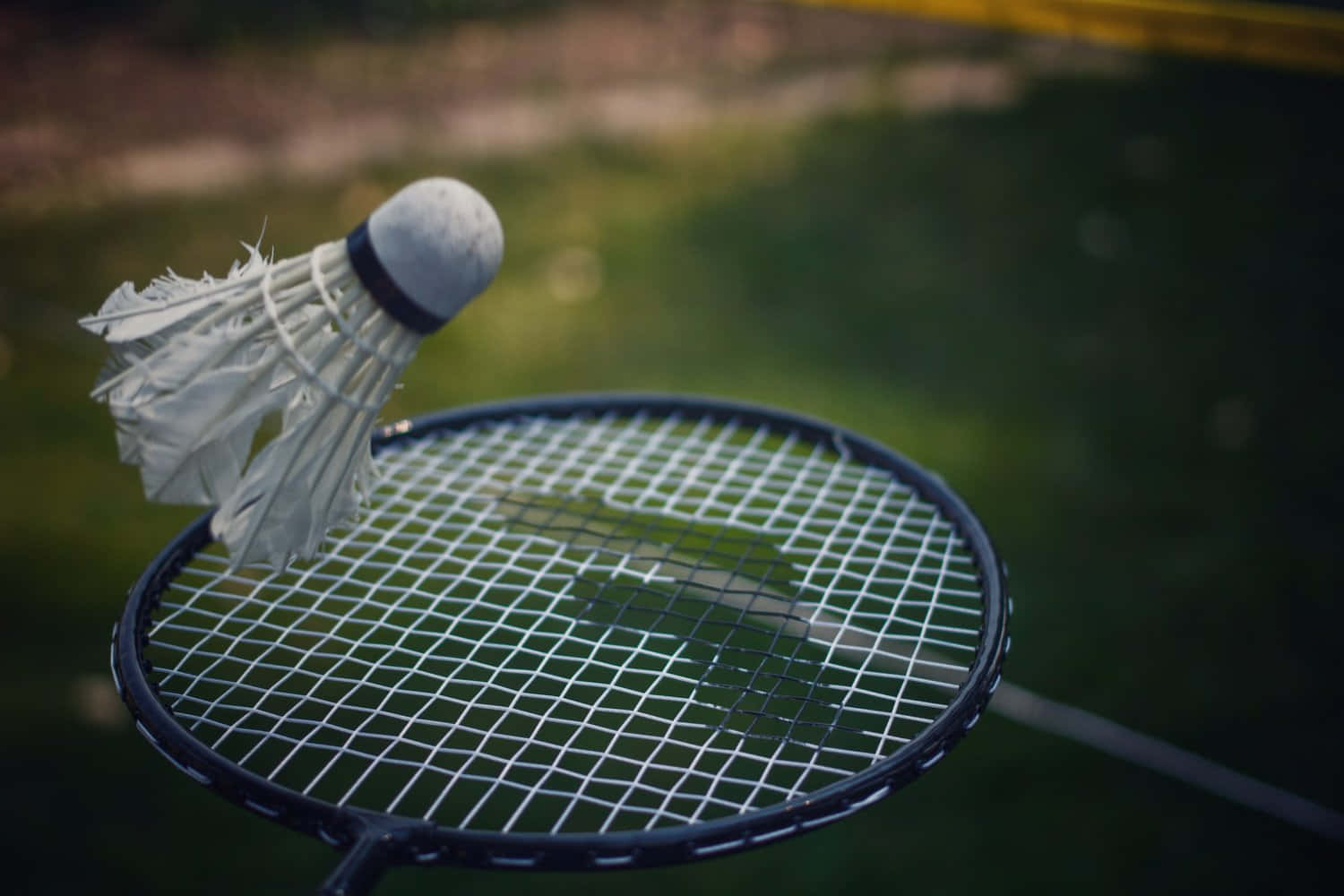 Badminton Baggrund