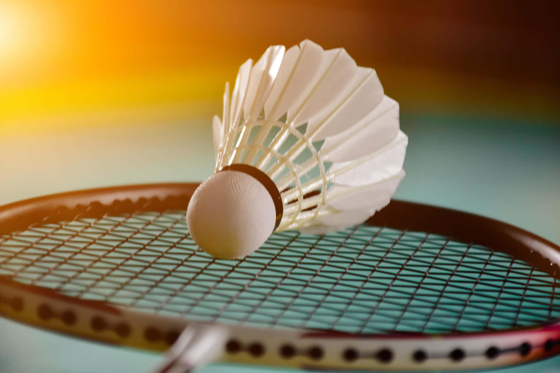 Badminton Baggrund 2940 X 1960