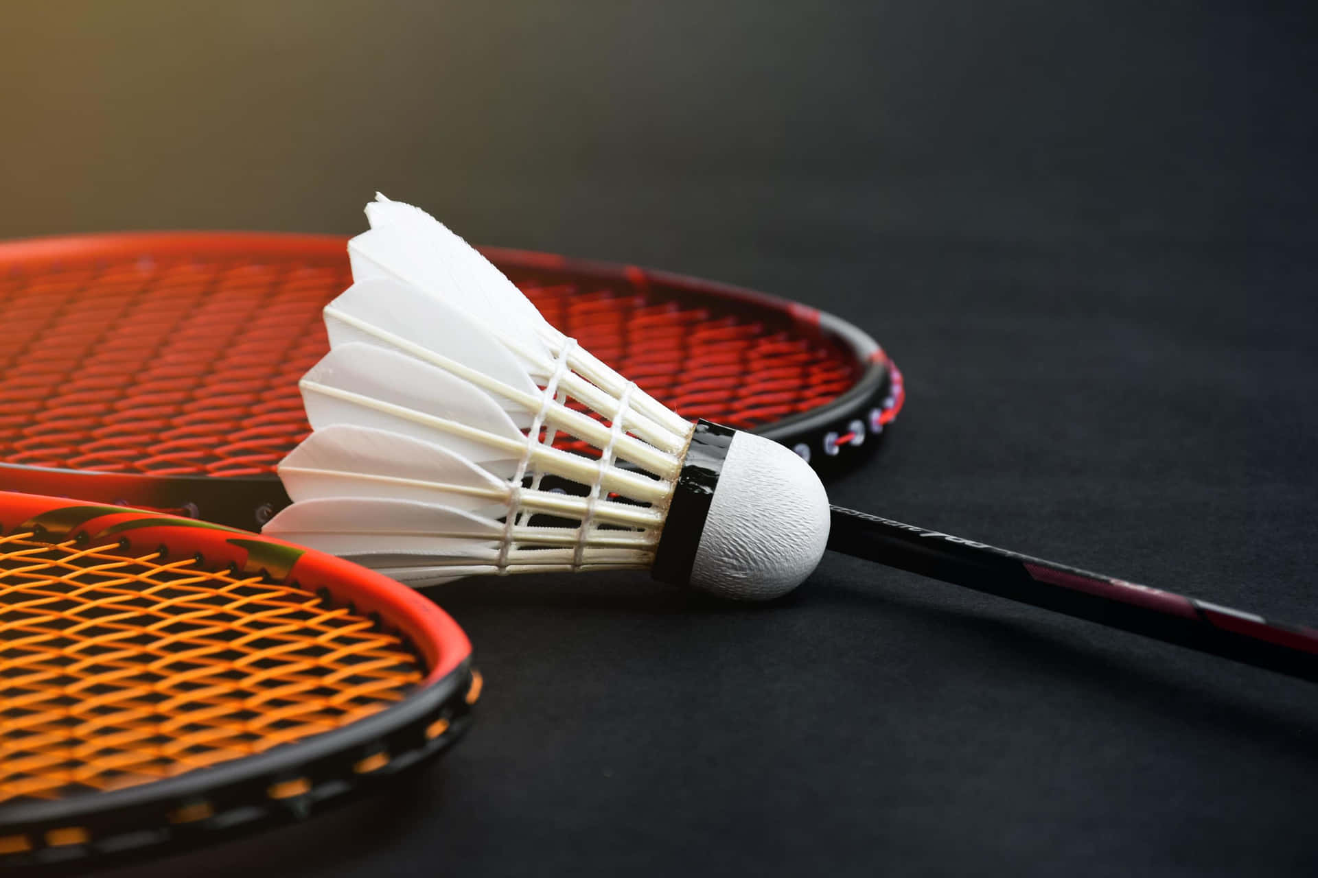Badmintonbakgrund (background)