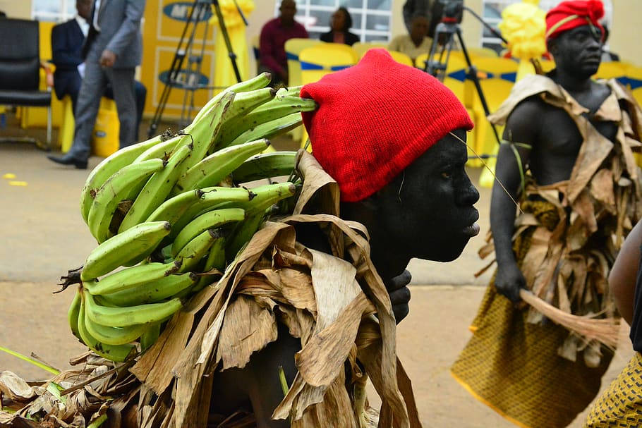 Personasbafaw Llevando Plátanos Verdes En Camerún Fondo de pantalla