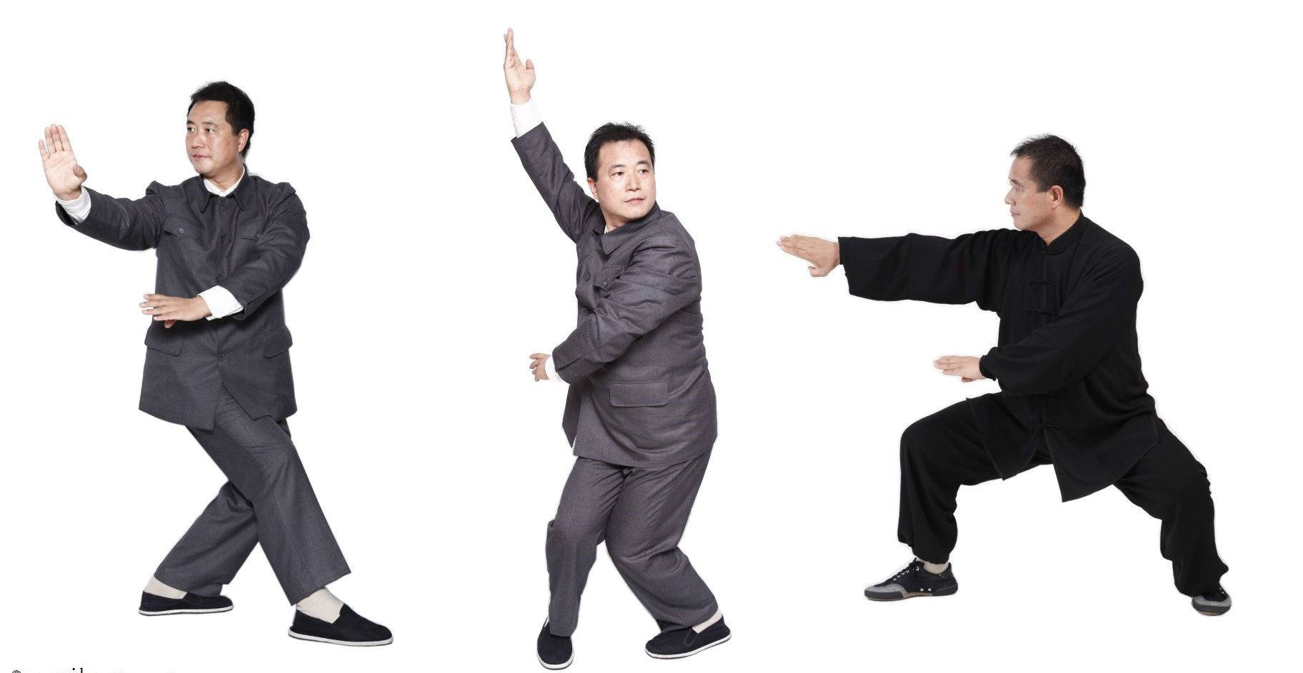 Bagua Different Fighting Stances Wallpaper