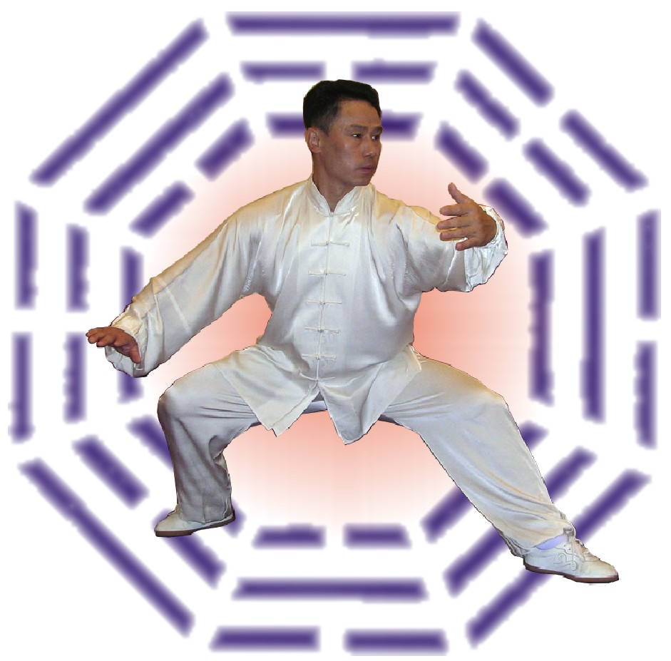 Master at Work - Bagua Martial Arts Stance Wallpaper
